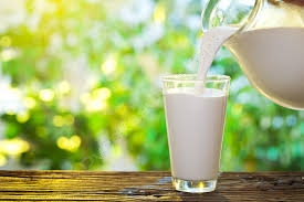 Воздействие бактерий на молоко