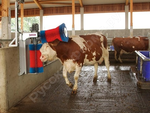 Автоматическая щетка для чистки шкуры коров KERBL HAPPYCOW Duo