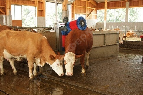 Автоматическая щетка для чистки шкуры коров KERBL HAPPYCOW Duo