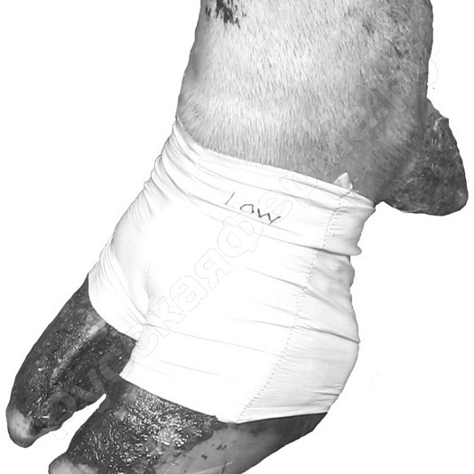 Бандаж-носок для лечения копыт у коров XL (упаковка 10шт)